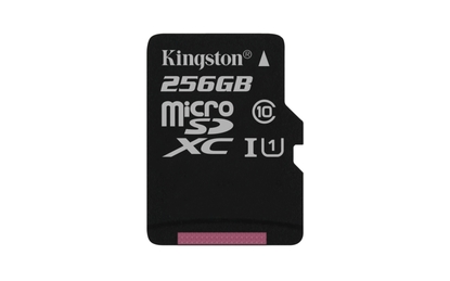 Kingston 256GB MicroSD XC card